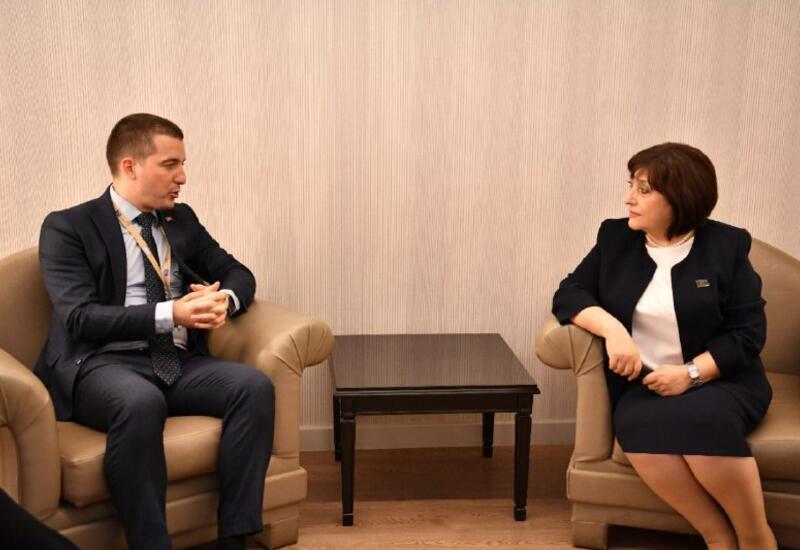 Сахиба Гафарова встретилась с председателем парламента Черногории