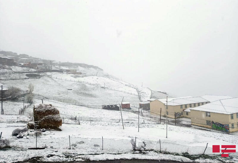 В губинском селе выпал снег высотой 23 см