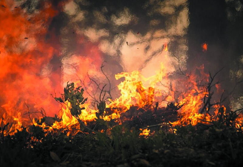 В Австрии тушат крупный лесной пожар