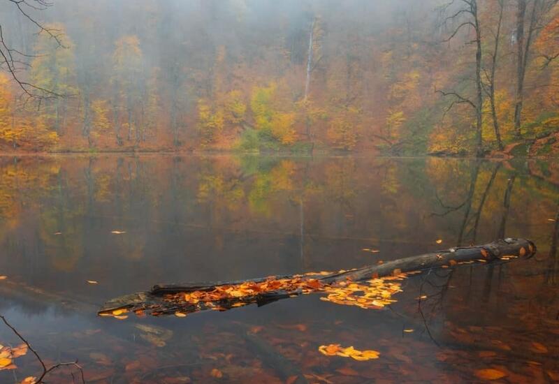 Завораживающая осень на озере Гаранохур