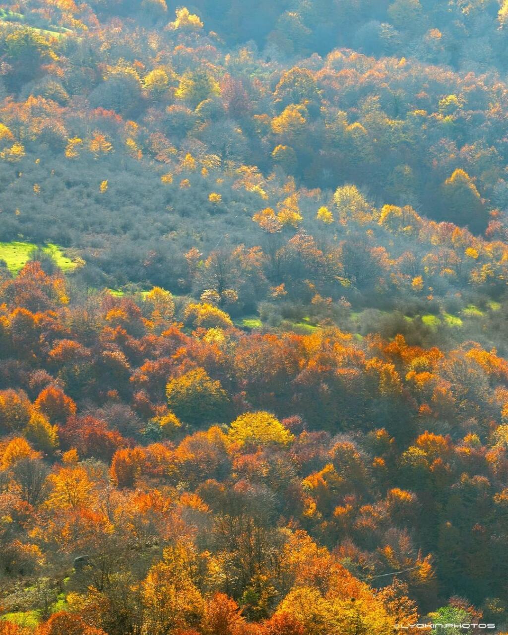 Яркая осень в Талышских горах Лерика и Лянкярана