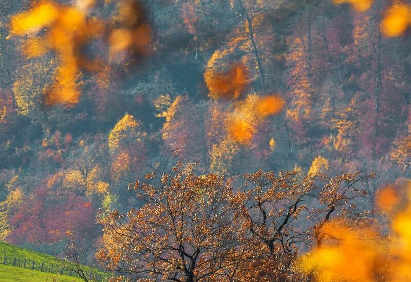 Яркая осень в Талышских горах Лерика и Лянкярана