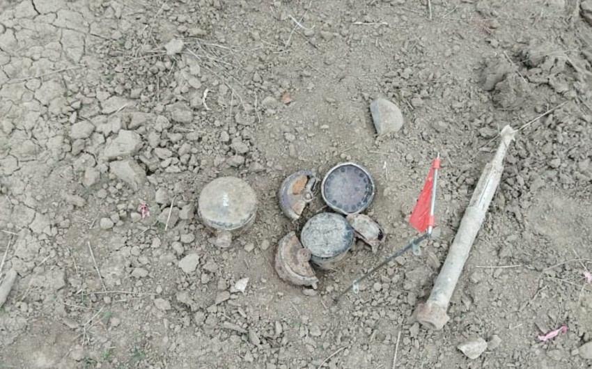 Азербайджанские саперы очистили от мин 25 га территории на границе с Ираном