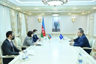 Сахиба Гафарова встретилась с генеральным секретарем ТЮРКПА
