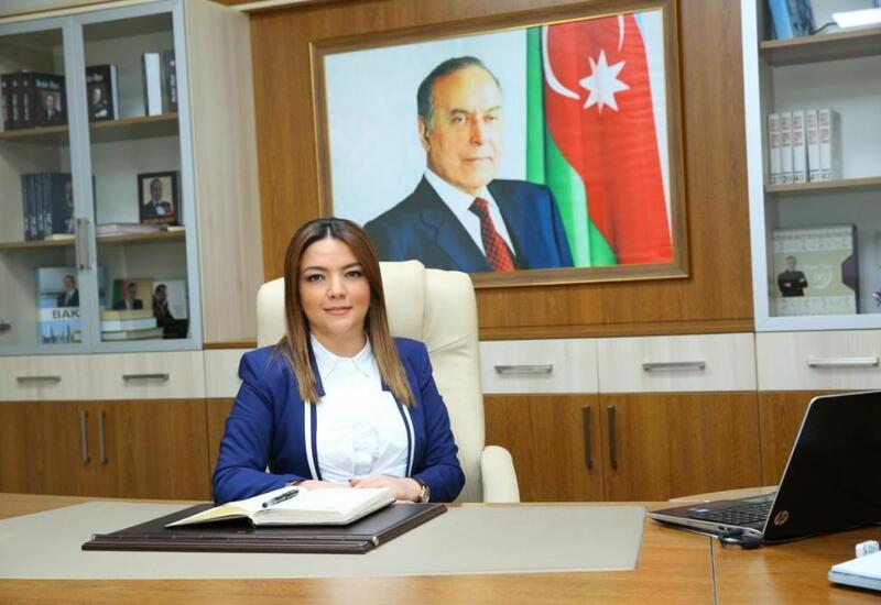 Назначен исполнительный директор Агентства господдержки НПО Азербайджана