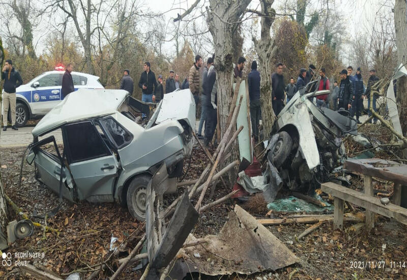 В Огузе автомобиль врезался в дерево