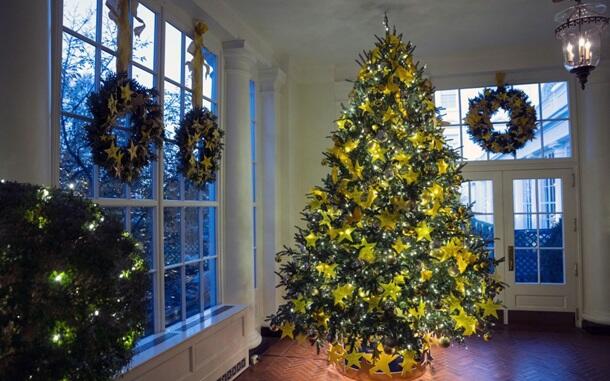 В Белом доме установили 41 рождественскую елку