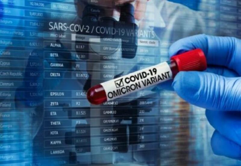 США не знают, насколько омикрон-штамм опаснее других разновидностей коронавируса
