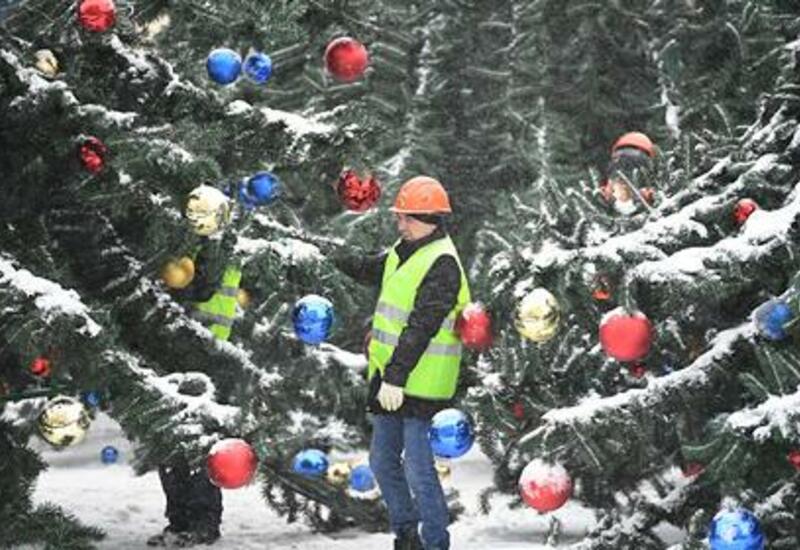 В новогодней столице России отказались от живых елок