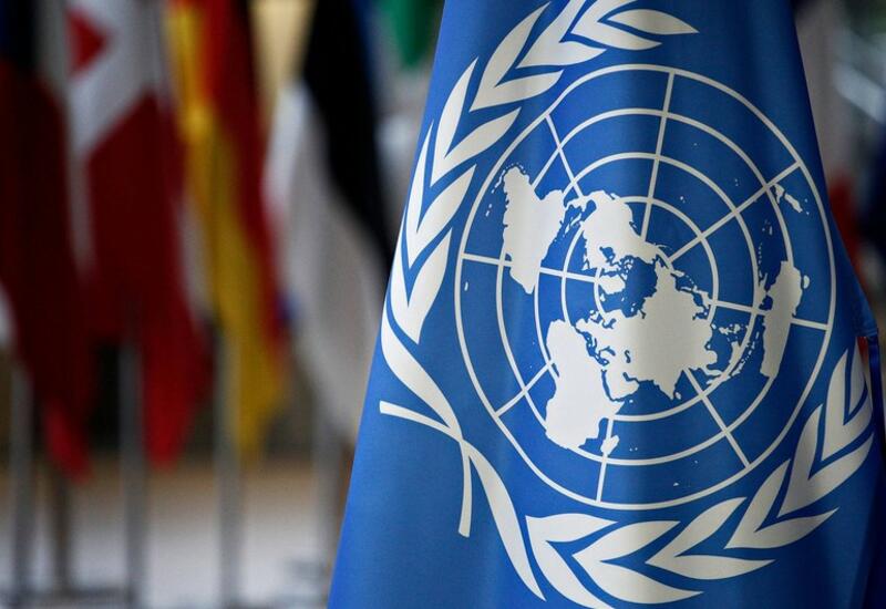 ООН запросила сотни миллионов на помощь беженцам в Афганистане