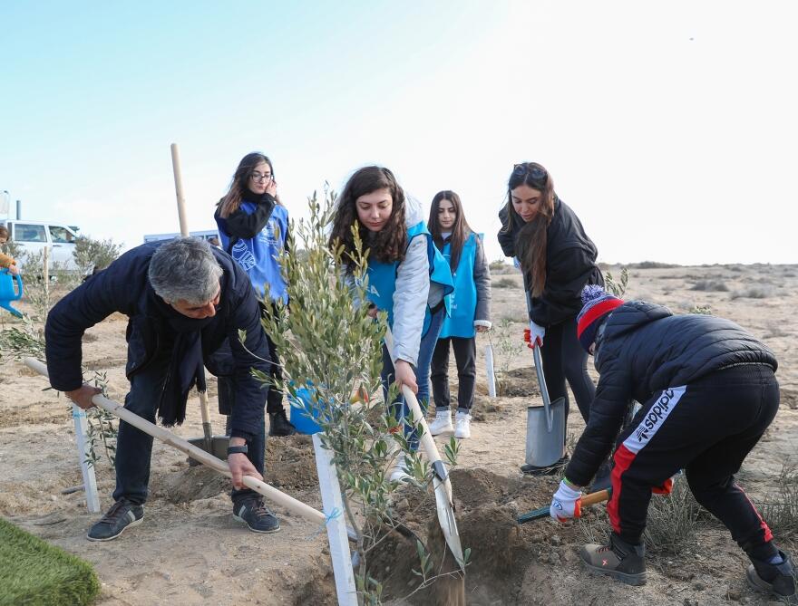 Вице-президент Фонда Гейдара Алиева Лейла Алиева приняла участие в акции по посадке деревьев в рамках "Зеленого марафона"