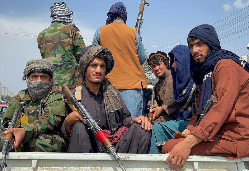 Талибы пообещали заняться защитой лесов