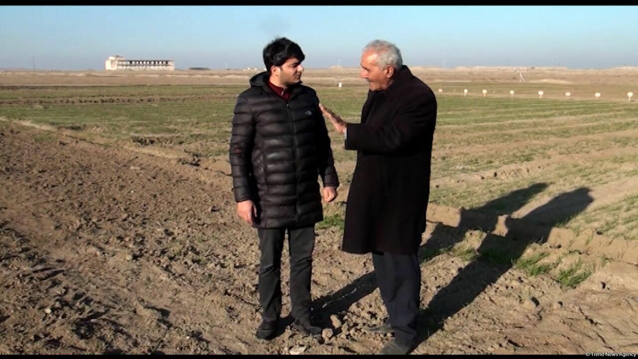 В Карабахе ведутся посевные работы