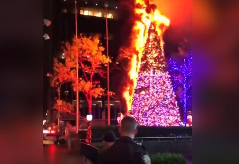 В Нью-Йорке подожгли 15-метровую рождественскую елку