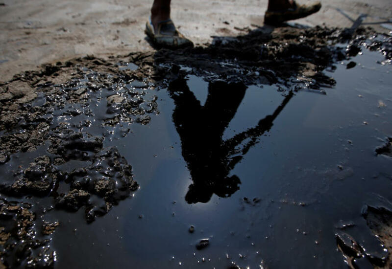 SOCAR расчистила около 2,5 тыс. га нефтезагрязненных территорий