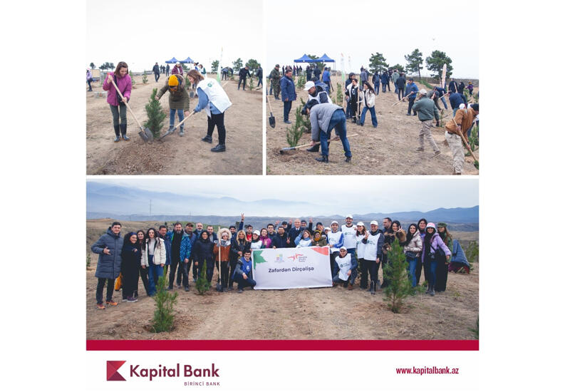 Kapital Bank принял участие в акции по посадке деревьев в Зангилане (R)