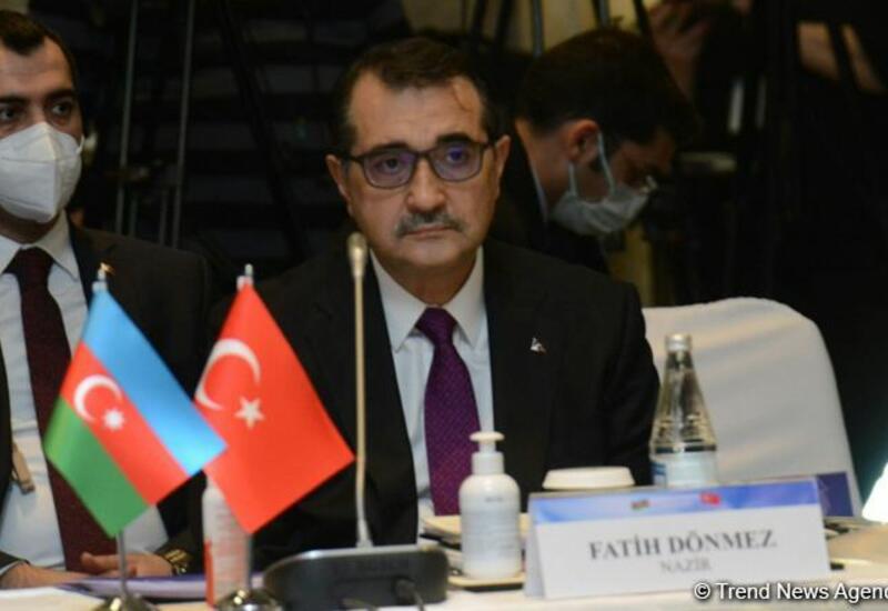 Турция поддержит Азербайджан при внедрении "Концепции зеленой энергии" в Карабахе