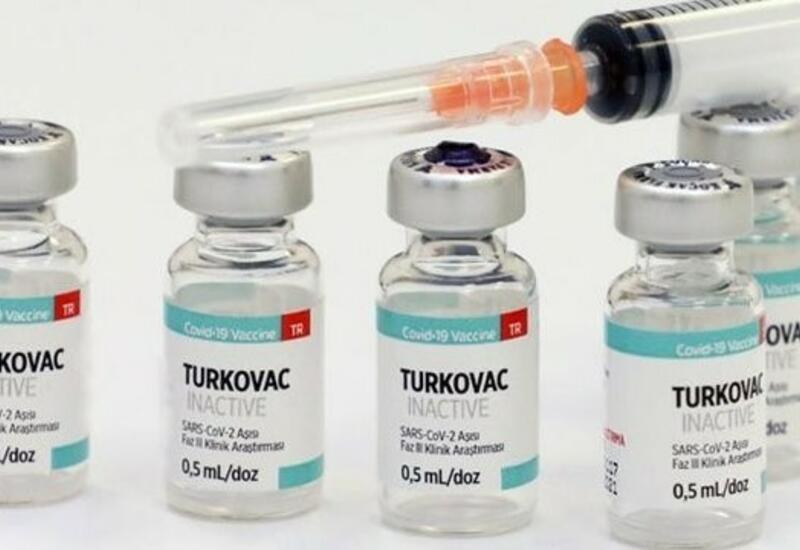 Турция начала массовое производство вакцины "TURKOVAC"