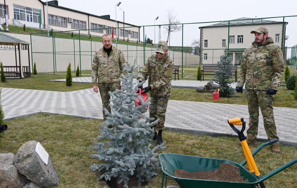 Сын гейдара алиева фото