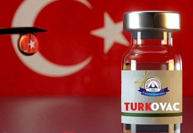 Первая партия турецкой вакцины TURKOVAC доставлена в Анкару