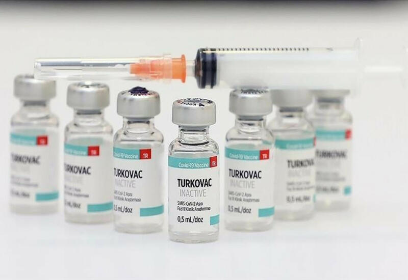 Вакцина "Turkovac" будет доставлена в Азербайджан