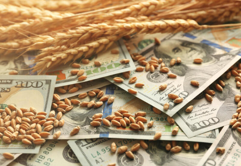 Почему взлетели цены на пшеницу и продукты по всему миру