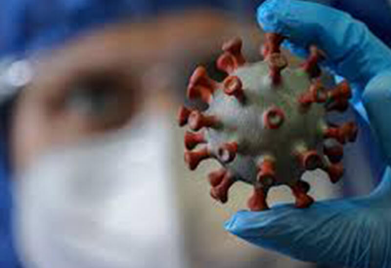 Азербайджан готов встретить новую волну коронавируса, в том числе и "омикрон"