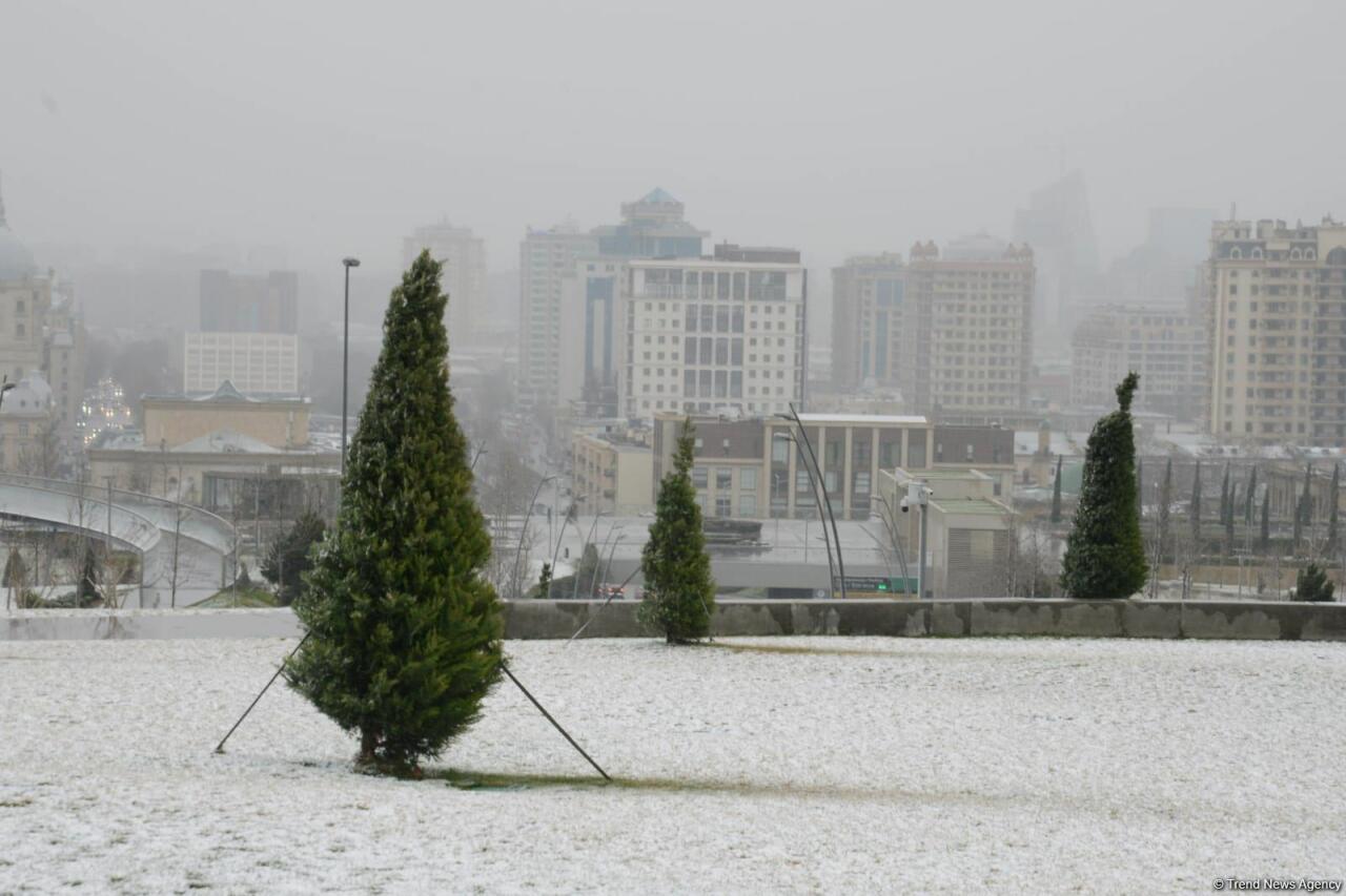 Снежный Баку