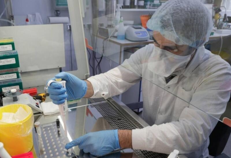 Вакцину от "омикрона" создают в Индии