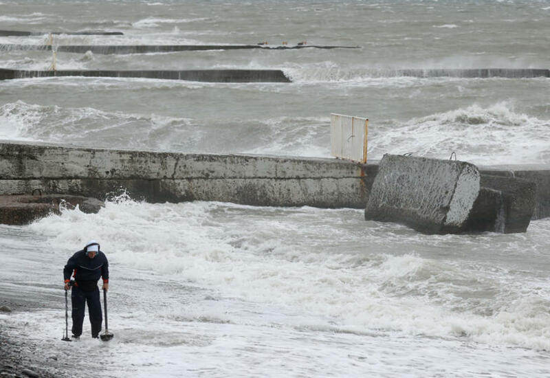 Сотни кило деликатесов выбросило на берег после шторма в Сочи