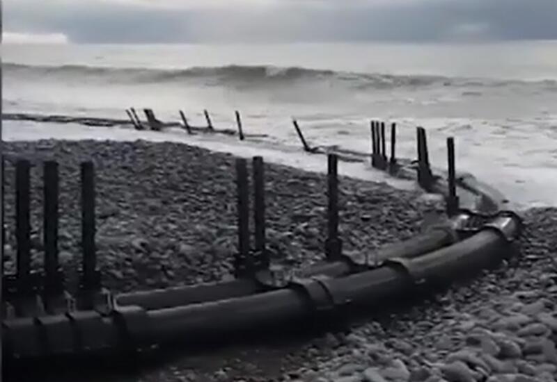 Тонны форели выбросило на побережье Сочи из-за шторма