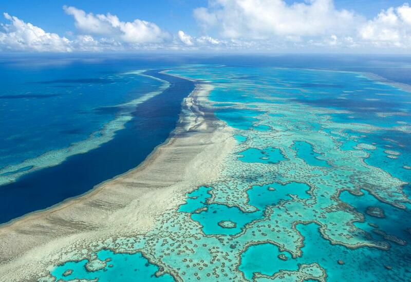 Австралия даст миллиард на спасение кораллов