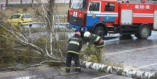 Сильный ветер в Беларуси сносит крыши и валит деревья