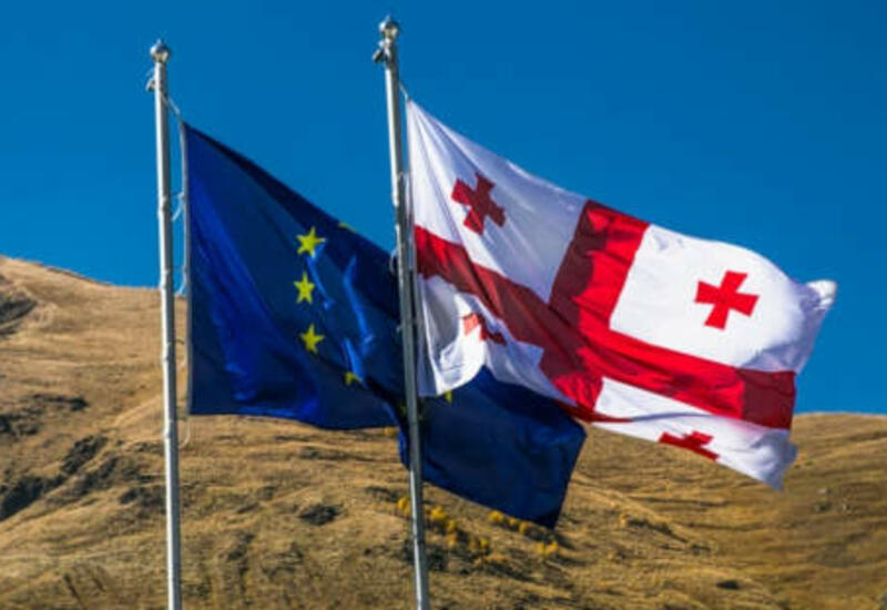 Грузия подала заявку на вступление в Евросоюз
