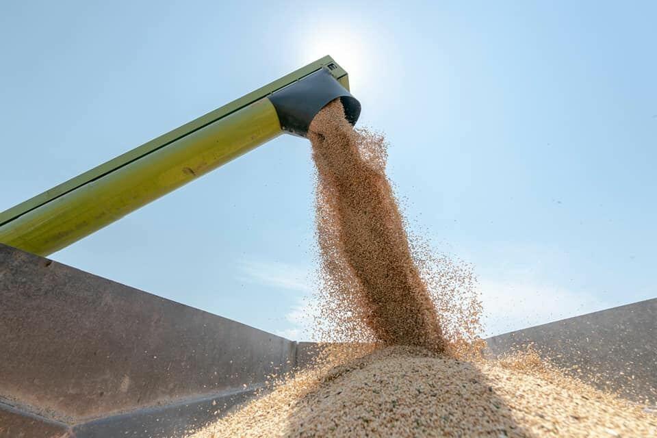 МИД РФ выразил отношение к новым предложениям ООН по зерновой сделке