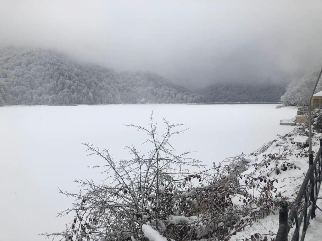 Гейгель азербайджан фото