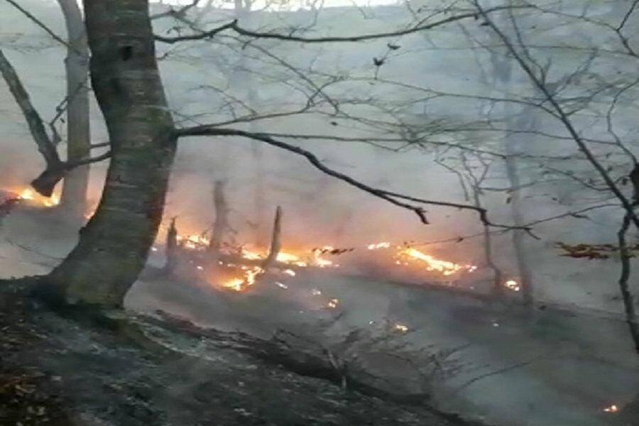 Крупный лесной пожар в Огузе