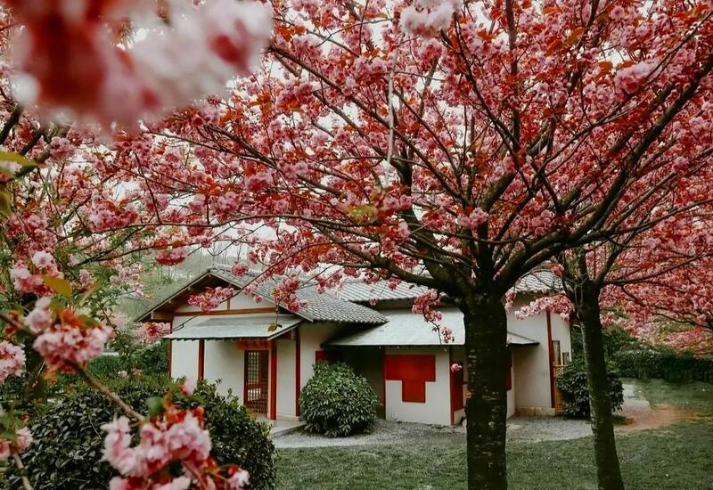 Японский сад в Стамбуле в объективе азербайджанского тревел-блогера