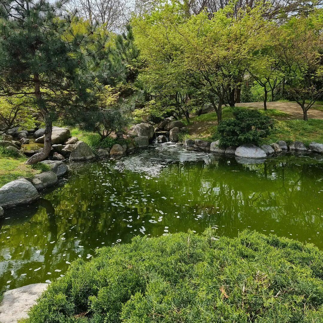 Японский сад в Стамбуле в объективе азербайджанского тревел-блогера