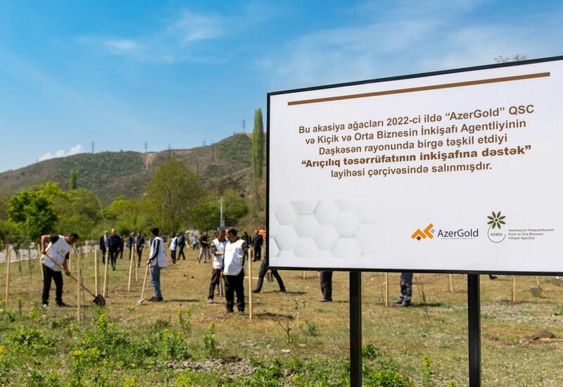 В Дашкесане реализован проект «Поддержка развития пчеловодства»