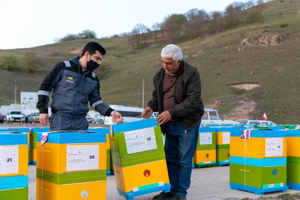В Дашкесане реализован проект «Поддержка развития пчеловодства»