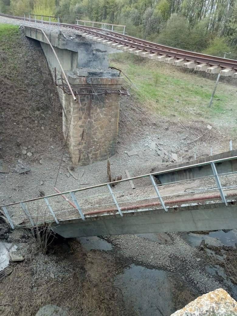 Клещи в курской области фото