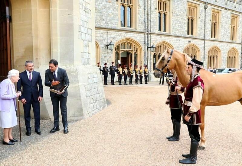 Британской королеве Елизавете II преподнесен подарок Президента Ильхама Алиева - карабахский скакун