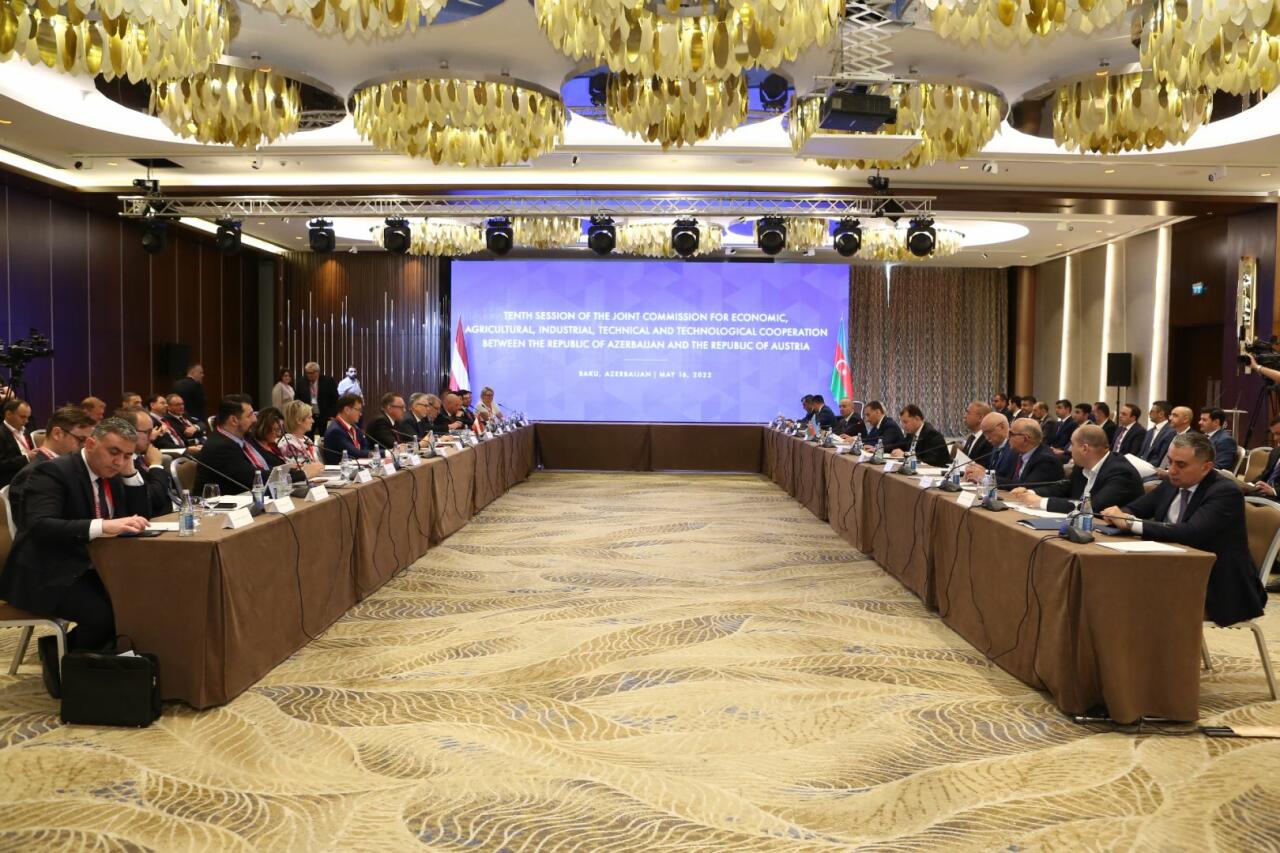 Азербайджан и Австрия обсудили организацию заседания комиссии по сотрудничеству и бизнес-форума