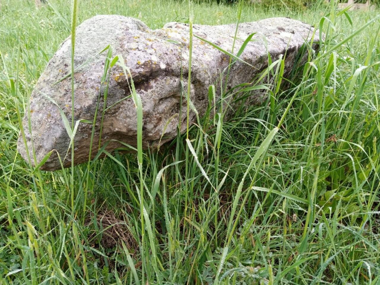 В Азербайджане впервые обнаружены каменные фигуры быков