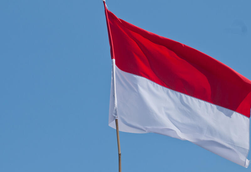Индонезия снимет запрет на поставки пальмового масла