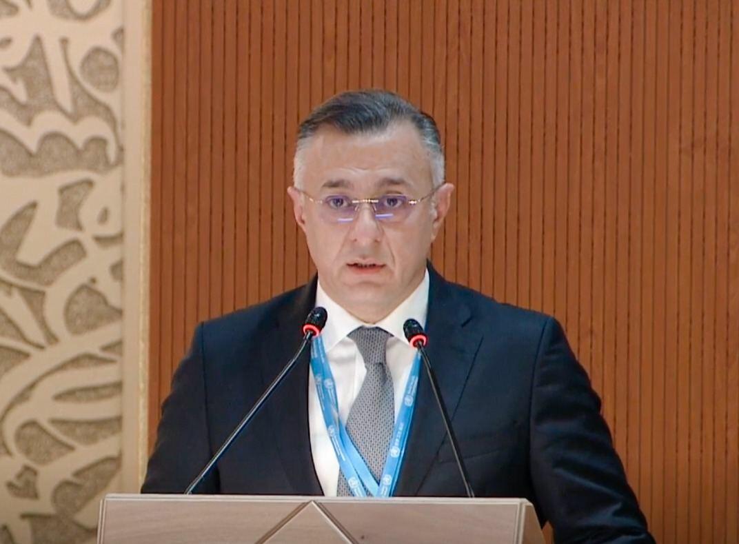 Теймур Мусаев выступил на пленарном заседании 75-й сессии Всемирной ассамблеи здравоохранения