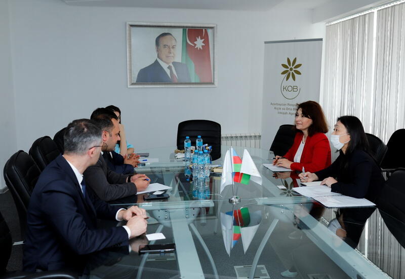 Представители японского агентства ознакомились в Азербайджане с механизмами поддержки МСБ