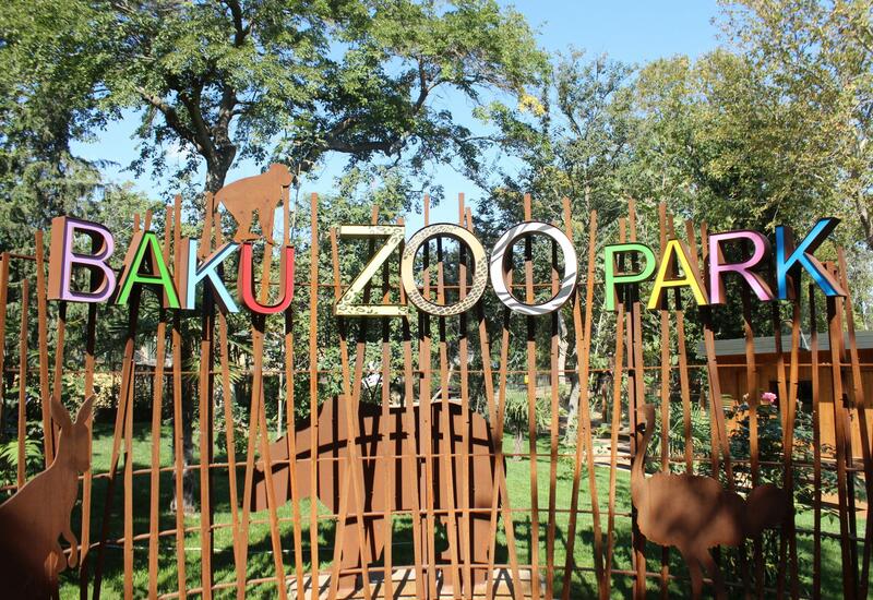 В Бакинском зоопарке 1 июня организуют праздник для детей