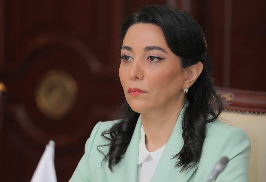 Сабина Алиева призвала ввести санкции против Армении за минный террор